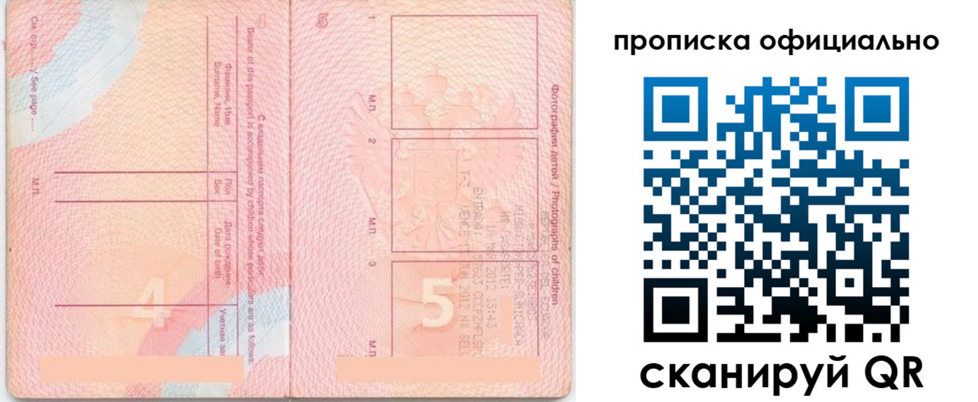 прописка для школы в Карабаново